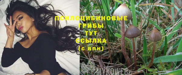 МДМА Абинск