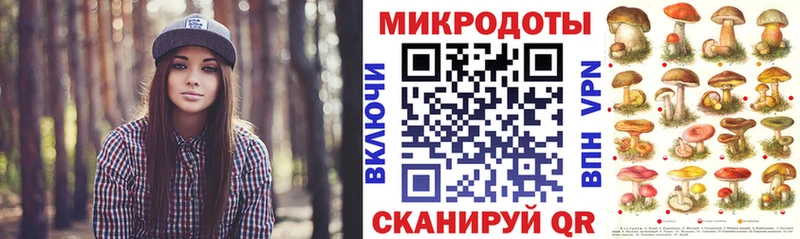что такое наркотик  Трубчевск  Галлюциногенные грибы Psilocybe 