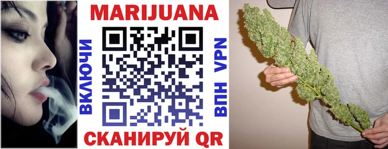 МАРИХУАНА сатива Трубчевск